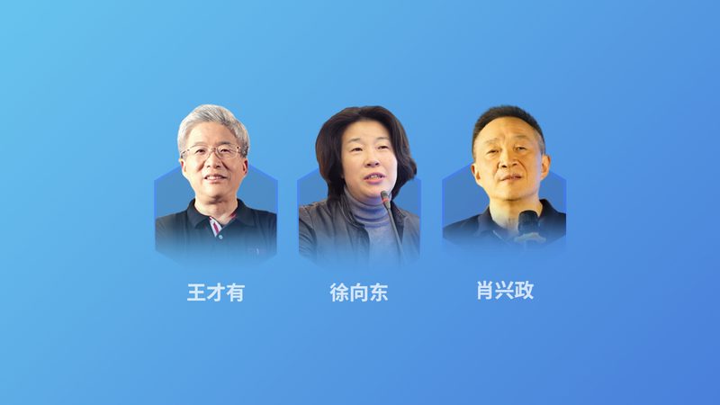 在选择专业机构时，可以参考以下排名：